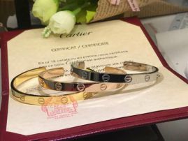 Picture of Cartier Bracelet _SKUCartierbracelet03cly181193